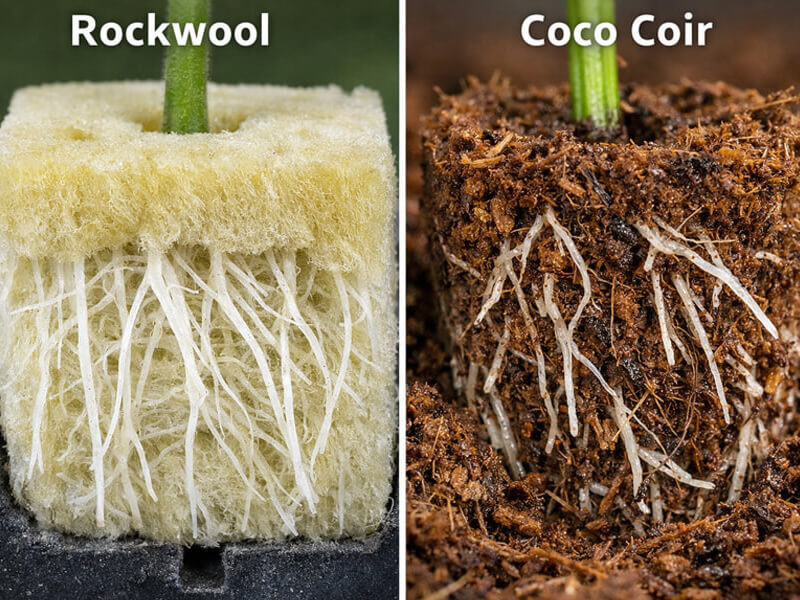 Rockwool vs coco coir growing medium comparison for hydroponic vegetables.jpg